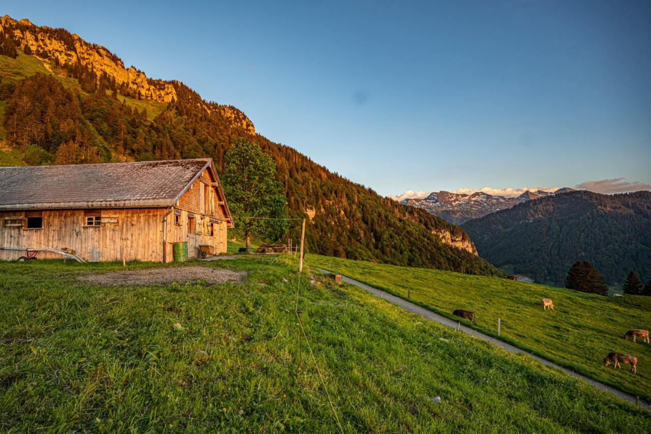 Wies Stein  Exteriör bild